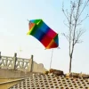 S4d648a31964446ca89e62882f36ca6c9u PE Rotating Fish Kite for Children