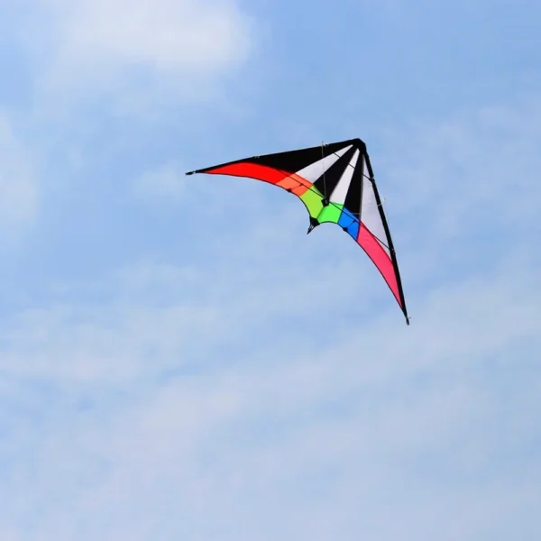 Rainbow Dual Line Stunt Kite 48 Inch