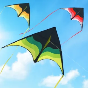 Large Beach Delta Kite for Kids