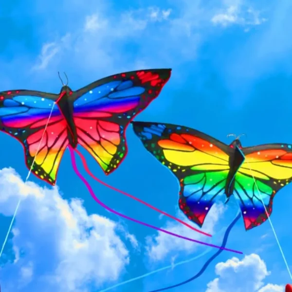 Colorful Butterfly Kite for Kids 1.45m